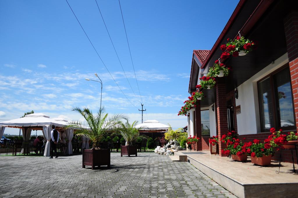 Pensiunea Terra Bistriţa Exterior foto